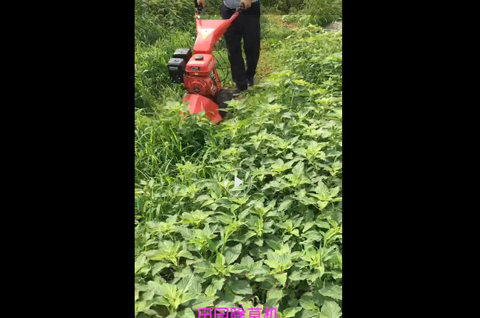 918博天堂·btt(中国游)官方网站